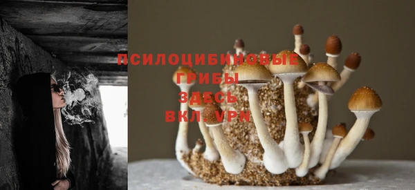 твердый Балабаново