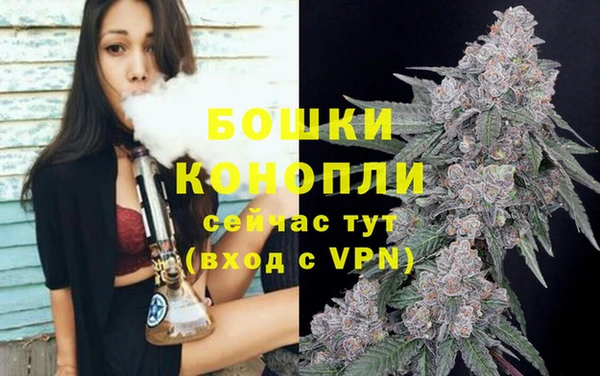 трава Беломорск