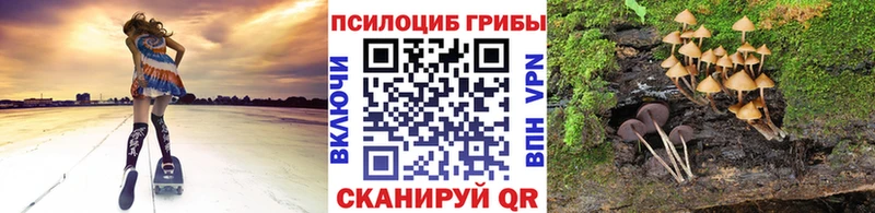 закладки  Касли  Галлюциногенные грибы MAGIC MUSHROOMS 